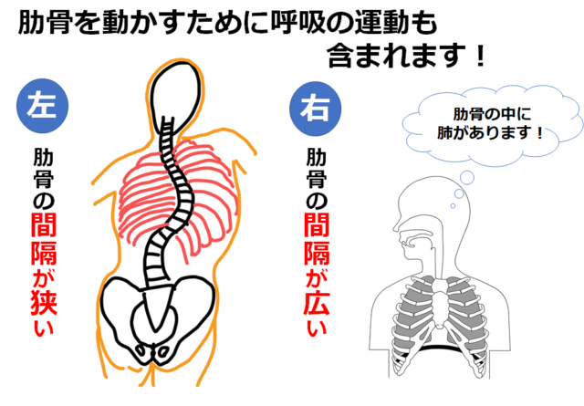 理学療法士を探す
